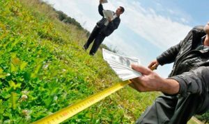 В Правительстве назвали дату начала продажи земли