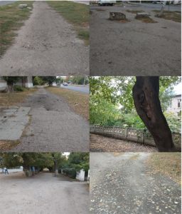 Устроить тротуар по ул. Вокзальной и срезать аварийные деревья! Новая петиция