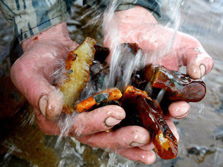 Зеленский внес в Раду закон о наказании за добычу янтаря