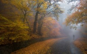 Погода в Славянске 20 октября: водителей предупреждают о тумане