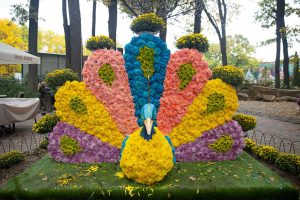 “Фельдман экопарк” приглашает на открытие бала хризантем