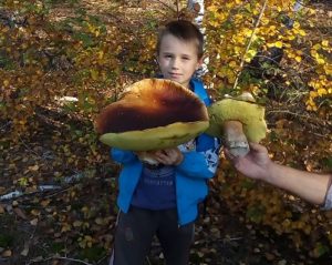 Юный грибник из Дробышево нашел гигантский гриб