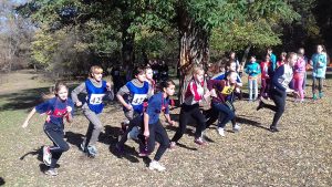 На территории Славянского курорта состоялись соревнования по легкоатлетическому кроссу среди СОШ района