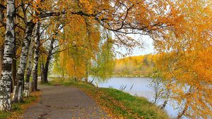 Народные приметы, праздники, традиции и советы на 17 октября