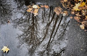 Погода на выходные: в Украине без осадков, местами немного похолодает