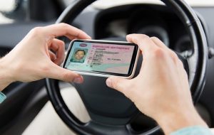 Водительские права в мобильном приложении: нововведения