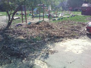 “Позор властям, что мы им должны указывать проблемы города!” Автор петиции требует ремонта придомовых территорий города