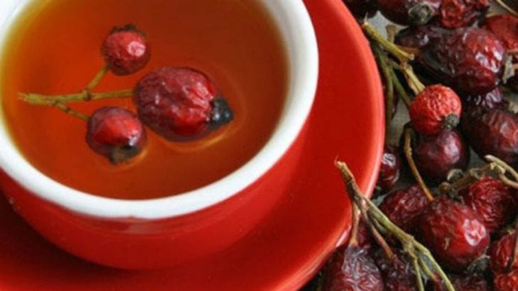 Как правильно делать отвар шиповника: польза и противопоказания
