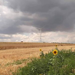 В Краматорске планируют выделить землю под строительство еще нескольких ветроустановок