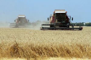 Украинские аграрии побили рекорд по сбору зерна