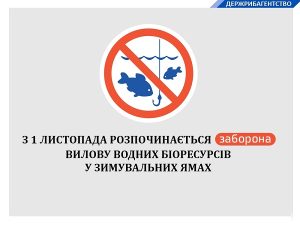 С 1 ноября запрещен лов рыбы в зимовальных ямах