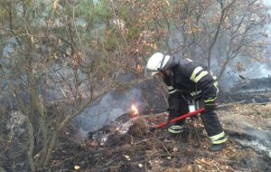 В Славянском районе горело 2 га леса