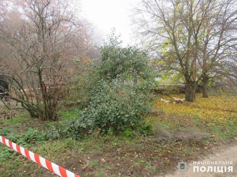 Поліцейські встановлюють свідків вбивства жінки в Лимані