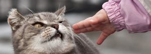 Какие вещи нельзя брать из рук: приметы и суеверия