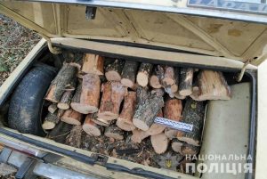 Оперативники Лимана задокументировали факт незаконной вырубки леса на территории района