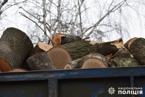 Полицией Славянска задокументирован факт незаконной вырубки леса на территории района