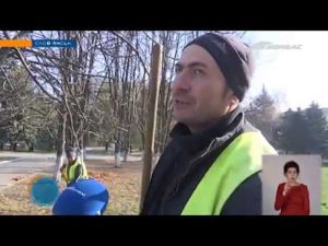 В Славянске создадут центр по переработке опавших листьев