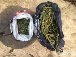 В Славянске задержан торговец марихуаной