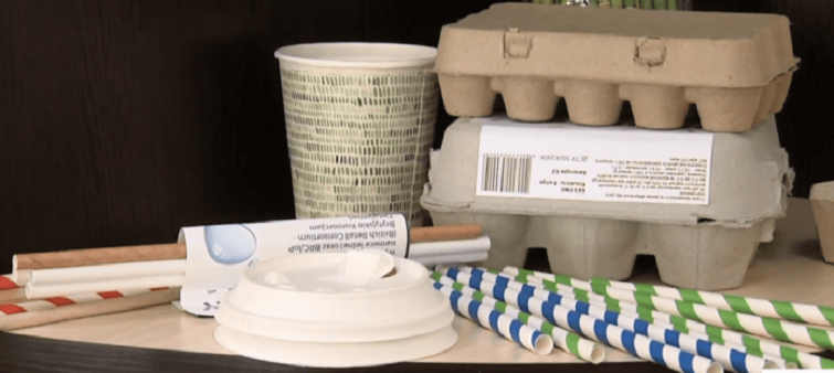 Изготовлена первая партия бумаги из опавших листьев по технологии украинского студента