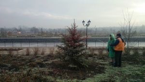 В Бахмуте красят елки, чтобы люди их не воровали