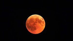 Лунный гороскоп на 11 декабря для всех знаков зодиака