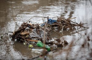 Жители Славянска просят убрать мусор на берегу Казенного Торца