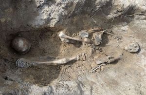 В Славянском районе поисковики нашли останки 12 солдат Второй мировой войны