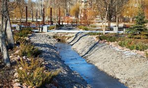 Полиция проводит расследование реконструкции парка «Шелковичный»