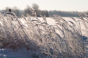 1 декабря: какой сегодня праздник, приметы, что нельзя делать