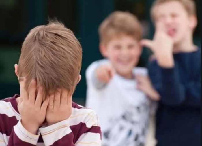 Двоє дітей здійснювали психологічне та фізичне насильство над однокласником