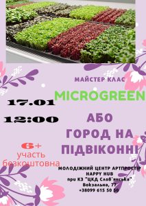 Как вырастить мини-огород на подоконнике. Славянцев приглашают на бесплатный мастер-класс