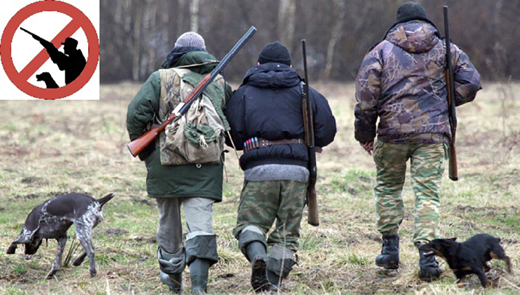 Уголовная ответственность: в Донецкой области запретили охоту