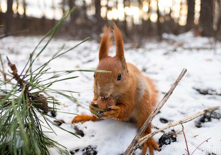 Потопы и катастрофическое потепление: прогноз на 2020 год