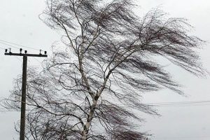 В Донецкой области прогнозируют туман и усиление ветра
