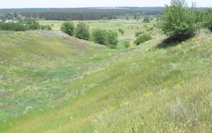В Славянском районе создали восемь новых заказников