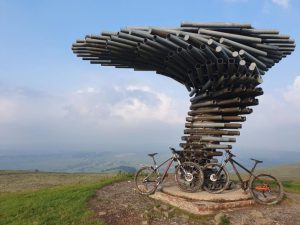Бюджет участі: чи з’явиться у Слов’янську аналог “Співаючого Дерева” з Британії?