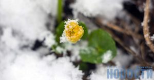 Как выглядят Голубые озера и леса Донетчины в феврале