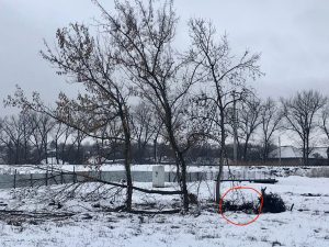 В Краматорске в Саду Бернацкого обнаружена мина