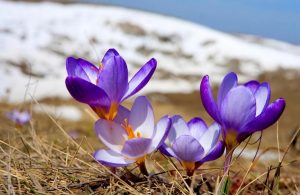 Вихідні у березні: скільки відпочиватимуть українці