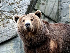 Приметы на 16 марта: что категорически нельзя делать