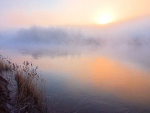 Природа Донетчины: утренние заморозки. Фотофакт