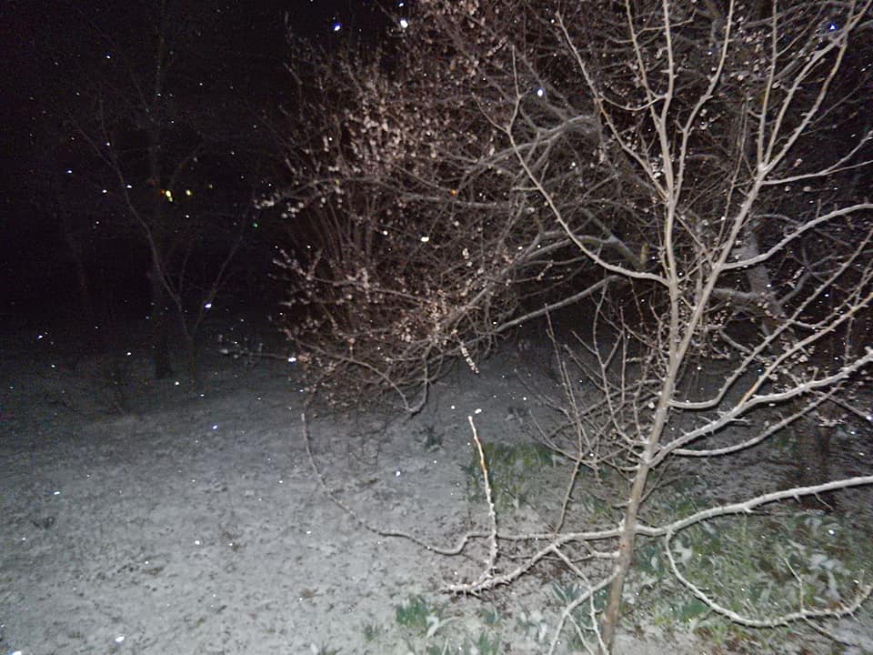 90849206 218810736154105 4830512085307752448 n