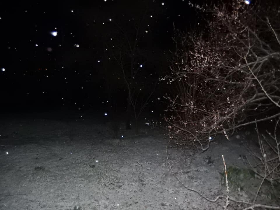 90849206 218810736154105 4830512085307752448 n