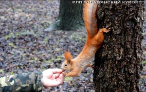 Региональний ландшафтний парк “Слов’янський курорт” звернувся до громадян