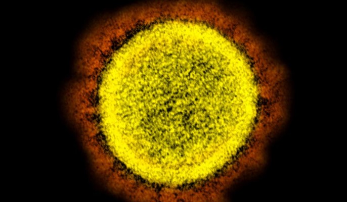 Ученые назвали температуру, которая “убивает” коронавирус и сколько вирус живет на разных поверхностях