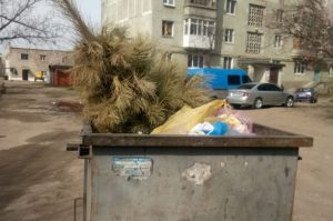 На карантині руки дійшли: у Слов’янську викидають новорічні ялинки