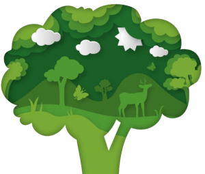 Слов’янськ долучається до акції «1 мільйон дерев за 24 години»