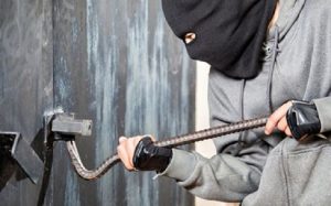 Поліцією Слов’янська розкрито серію крадіжок з місцевого садового товариства