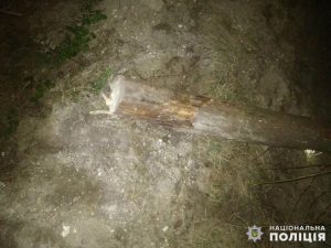 Слов’янські поліцейські припинили вирубку лісу на території Національного природного парку