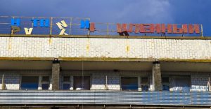 В Славянске разруху санатория «Юбилейный» украшают дикие фиалки